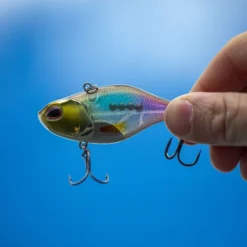 Berkley DEX Ripper -Goedkope Spin Hengel Winkel 1572667r 5