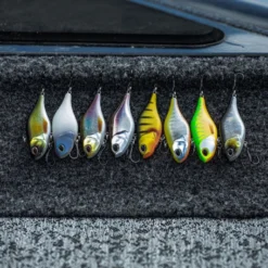 Berkley DEX Ripper -Goedkope Spin Hengel Winkel 1572667r 6