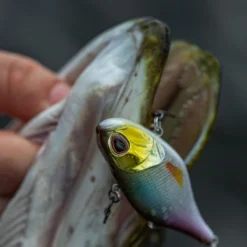 Berkley DEX Ripper -Goedkope Spin Hengel Winkel 1572667r 7