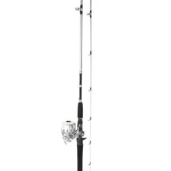 Daiwa Silvercast Blister Combo