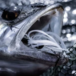 Quantum 4Street Chatter -Goedkope Spin Hengel Winkel 22 3139104r 4