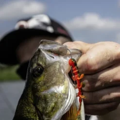 Quantum 4Street B-Ass Creature 6,3cm (7pcs) -Goedkope Spin Hengel Winkel 22 3580002r 2