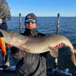 Zalt Zhad 21cm, 77g -Goedkope Spin Hengel Winkel 221602Zr 4