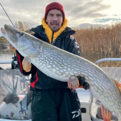 Daiwa PX Lazy Shad -Goedkope Spin Hengel Winkel 32 217472r 3