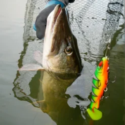 Daiwa PX Lazy Shad -Goedkope Spin Hengel Winkel 32 217472r 5