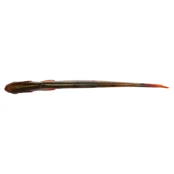 Savage Gear Craft Dying Minnow 7.5cm, 2g 5pcs -Goedkope Spin Hengel Winkel 71938r 2