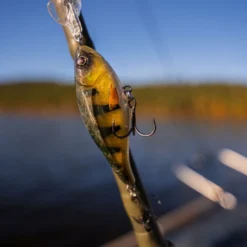 Headbanger Cranky Shad -Goedkope Spin Hengel Winkel CS 25 SS BKr 2