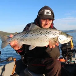 Headbanger Cranky Shad -Goedkope Spin Hengel Winkel CS 25 SS BKr 3