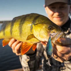 Headbanger Cranky Shad -Goedkope Spin Hengel Winkel CS 25 SS BKr 4