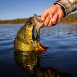 Headbanger Cranky Shad -Goedkope Spin Hengel Winkel CS 25 SS BKr 5