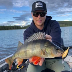 Headbanger Cranky Shad -Goedkope Spin Hengel Winkel CS 25 SS BKr 6