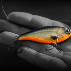 Headbanger Cranky Shad -Goedkope Spin Hengel Winkel CS 25 SS BKr 8