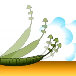 Deps Bull Flat 3.8'' -Goedkope Spin Hengel Winkel D BF38 18r 6