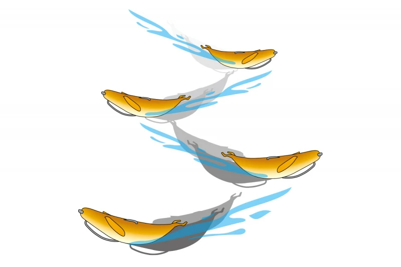 Deps Sakamata Shad 4'' 10 Deps Sakamata Shad 4'' - Afbeelding 10