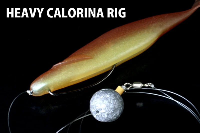 Deps Sakamata Shad 4'' 9 Deps Sakamata Shad 4'' - Afbeelding 9