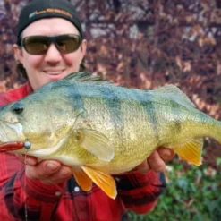 High5Lures Drop9 (6pcs) -Goedkope Spin Hengel Winkel DRP9101r 4