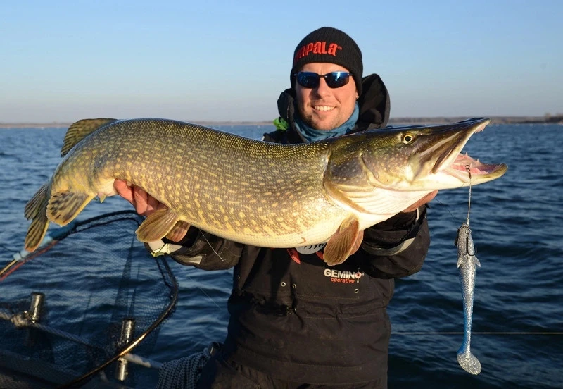 Eastfield Wingman (Made In Sweden) 3 Eastfield Wingman (Made In Sweden) - Afbeelding 3