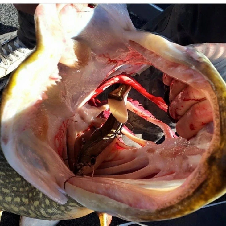 Eastfield Wingman (Made In Sweden) 4 Eastfield Wingman (Made In Sweden) - Afbeelding 4