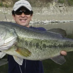 Fish Arrow Flash J Shad -Goedkope Spin Hengel Winkel FA 4562178061659r 4