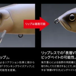 Fish Arrow Riser Jack -Goedkope Spin Hengel Winkel FA 4573251345153r 4