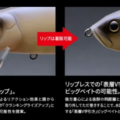 Fish Arrow Riser Jack Jr 19cm, 44g -Goedkope Spin Hengel Winkel FA 4573251345986r 4