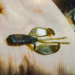 Perch Professor Fapping Craw 5,5cm (6pcs) -Goedkope Spin Hengel Winkel FC556P Or 4