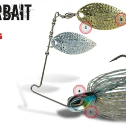 Molix FS Spinner Willow Tandem -Goedkope Spin Hengel Winkel FSSP5WT 10Hr 2