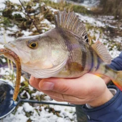 Perch Professor Flying Worm 9cm (6pcs) -Goedkope Spin Hengel Winkel FW96P Or 2