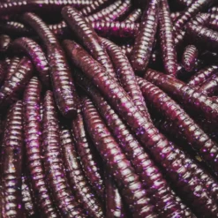 Perch Professor Flying Worm 9cm (6pcs) -Goedkope Spin Hengel Winkel FW96P Or 3