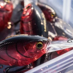 Shimano Yasei Cover Crank F -Goedkope Spin Hengel Winkel LUYASCCFSR07RBTr 5