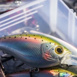 Shimano Yasei Cover Crank F -Goedkope Spin Hengel Winkel LUYASCCFSR07RBTr 6