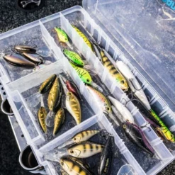 Shimano Yasei Cover Crank F -Goedkope Spin Hengel Winkel LUYASCCFSR07RBTr 7