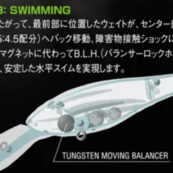 Megabass Deep-X 300 -Goedkope Spin Hengel Winkel MB 00000001699r 5