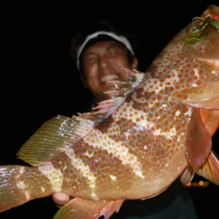 Megabass Rock Hog -Goedkope Spin Hengel Winkel MB 00000046364r 3