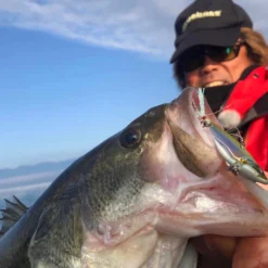 Megabass Dyna Response 14g -Goedkope Spin Hengel Winkel MB DR 4513473478703r 2