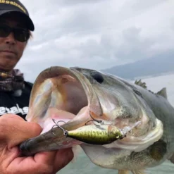 Megabass Deep-X 100 LBO -Goedkope Spin Hengel Winkel MB DX100LBO 473455216r 2