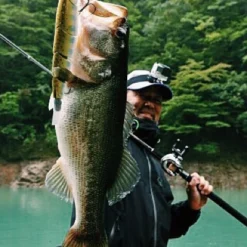 Madness Japan Balam Swimbait -Goedkope Spin Hengel Winkel MJPBSIMr 2