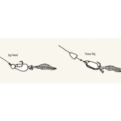 Nikko Zaza Tadpoles 7,3cm (5pcs) -Goedkope Spin Hengel Winkel NIKKO531r 4