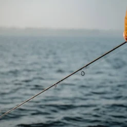 Jaeger Pike One Spinn 8'4'' 30-90g -Goedkope Spin Hengel Winkel PKE ROD 1 3