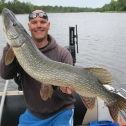 Rad Dog Spinnerbait - Ruff Tackle -Goedkope Spin Hengel Winkel RADDOGr 2