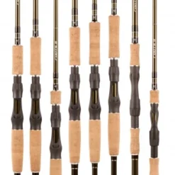 BFT Roots G2 -Goedkope Spin Hengel Winkel ROOTSG2r 4