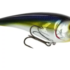 RawBite 11cm 27g Low Floating -Goedkope Spin Hengel Winkel WS14112r 4