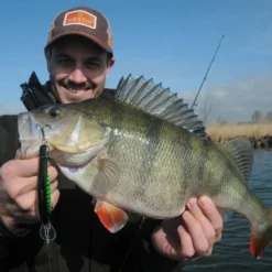 Goedkope Spin Hengel Winkel -Goedkope Spin Hengel Winkel WS18012r 2