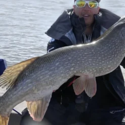 Gator Gum 22 Cm (1-pak) -Goedkope Spin Hengel Winkel gatorgumr 4