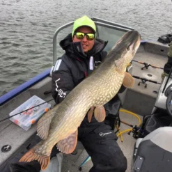 Gator Gum 22 Cm (1-pak) -Goedkope Spin Hengel Winkel gatorgumr 5