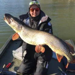 Gator Gum 22 Cm (1-pak) -Goedkope Spin Hengel Winkel gatorgumr 7