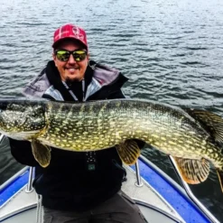 Gator Gum 22 Cm (1-pak) -Goedkope Spin Hengel Winkel gatorgumr 9