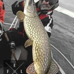 Eastfield Wingman Curly 23cm, 77g -Goedkope Spin Hengel Winkel wingman curlr 3