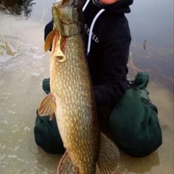 Eastfield Wingman Curly 23cm, 77g -Goedkope Spin Hengel Winkel wingman curlr 5